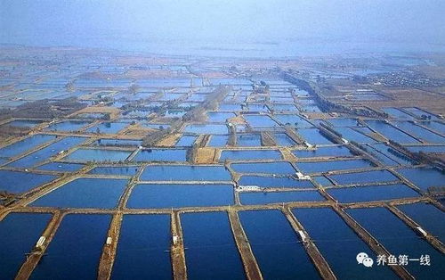 水产养殖怎样才能更易赚钱 生产环节化繁为简,信息不对称是障碍