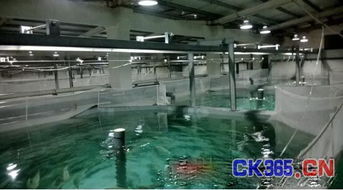 LED在工厂化水产养殖中的应用与前景
