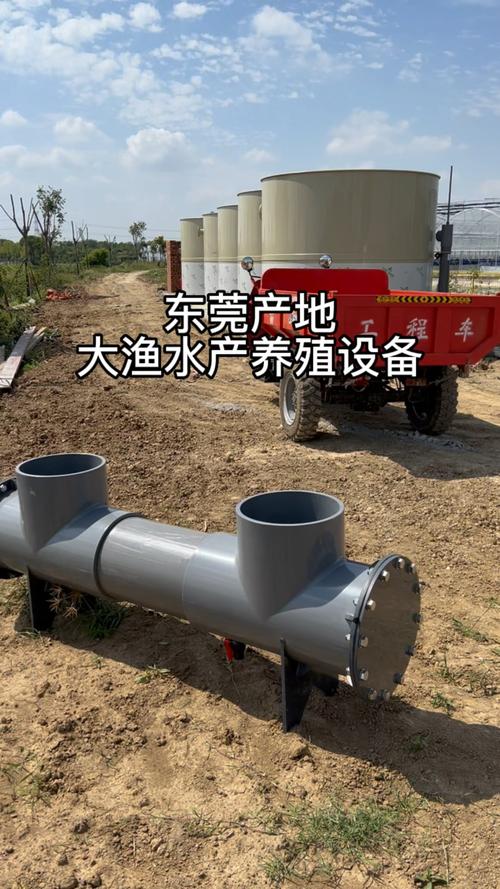 工厂化循环水养殖 高密度水产养殖的未来之路