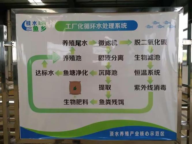 水产养殖新技术 引领产业绿色转型与智能升级