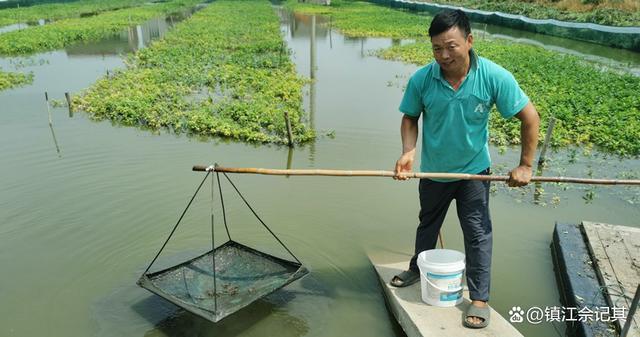 气象指数保险为丹阳水产养殖户撑起“保护伞”